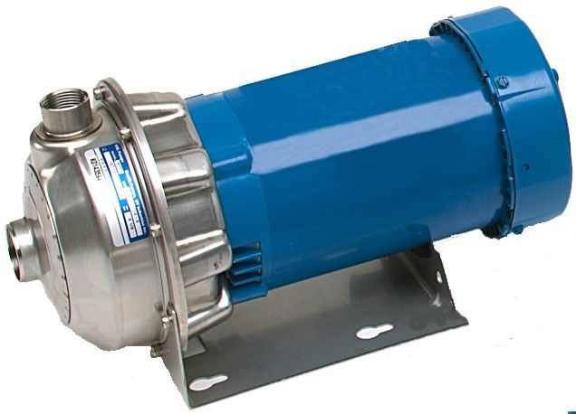 Xylem Goulds Centrifugal Pump