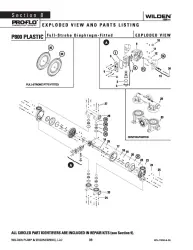Wilden P800 Advanced Plastic Full Stroke