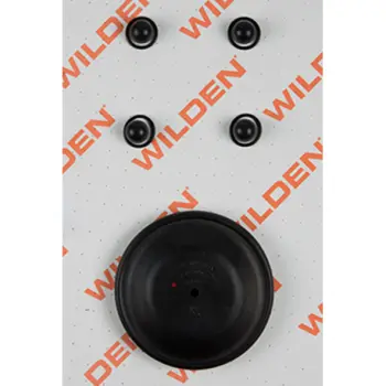 Wilden&reg; 02-9804-52 Liquid End Repair Kit, Wet, 1"/O/M/BNS