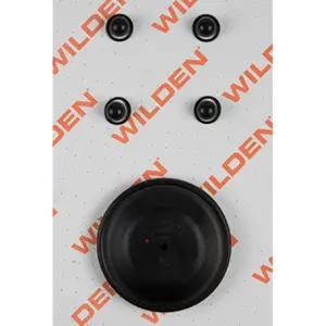 Wilden® 02-9804-52 Liquid End Repair Kit, Wet, 1