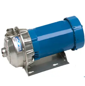 Xylem Goulds Centrifugal Pump