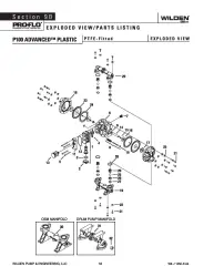 Wilden P100 Advanced Plastic Rubber PTFE Fitted