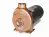 AMT 3891-98 Self-Priming Pump